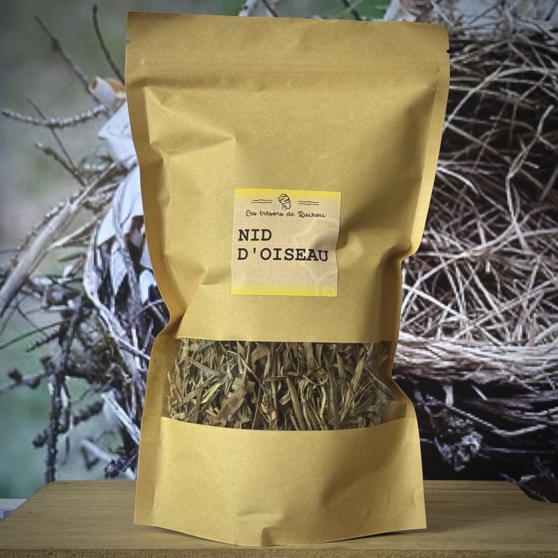 Nid d'oiseau