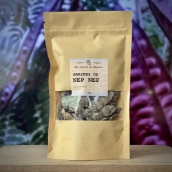 Graines de Nep Nep